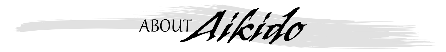 About Aikido?